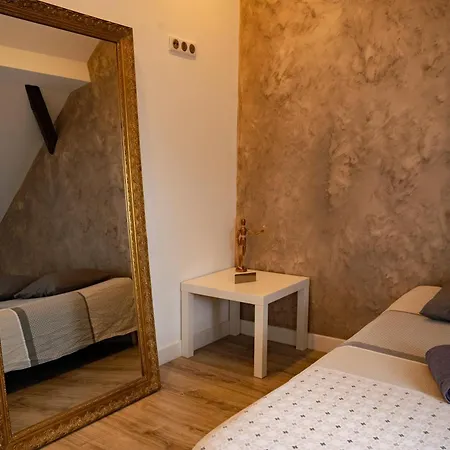 Belles Combles Alsaciennes Au Centre De Διαμέρισμα *