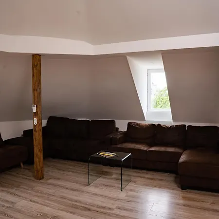 Belles Combles Alsaciennes Au Centre De Διαμέρισμα