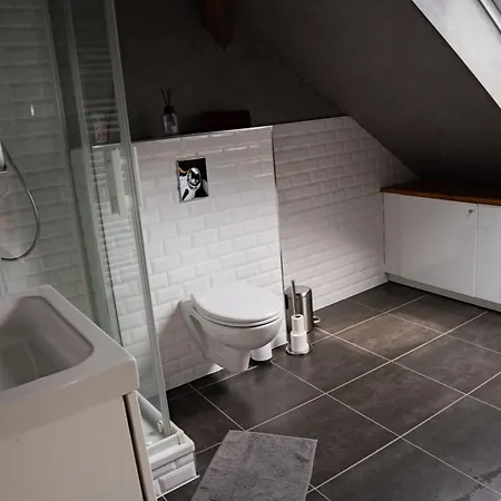 Appartement Belles Combles Alsaciennes Au Centre De Strasbourg