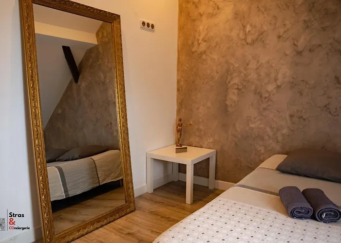 Belles Combles Alsaciennes Au Centre De Διαμέρισμα *