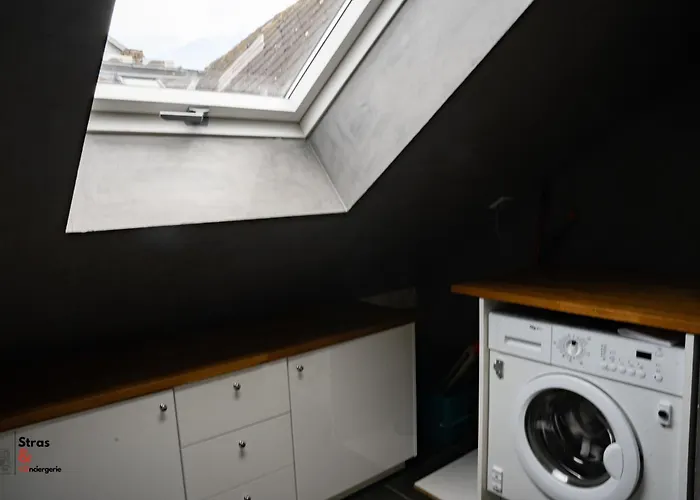 Belles Combles Alsaciennes Au Centre De Διαμέρισμα Στρασβούργο