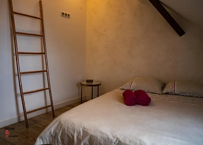 Διαμέρισμα Belles Combles Alsaciennes Au Centre De Στρασβούργο