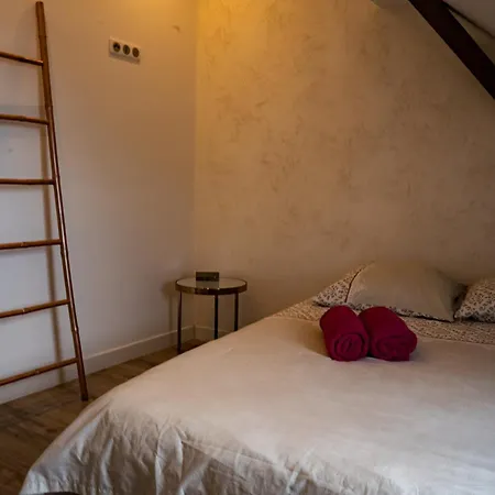 Apartment Belles Combles Alsaciennes Au Centre De Strasbourg