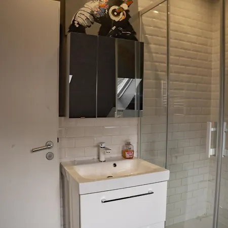 Belles Combles Alsaciennes Au Centre De Apartment Strasbourg