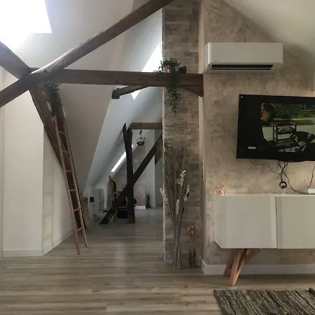 Belles Combles Alsaciennes Au Centre De Apartment *